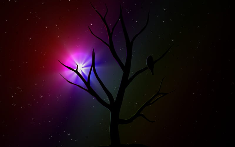 OwlTree, owl, glow, space, explosion, tree, bird, universe, bright, colour, HD wallpaper