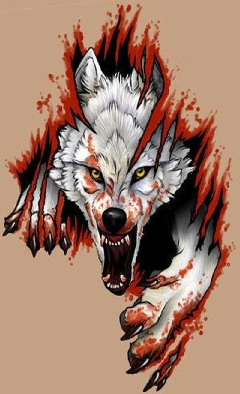 Wolf, animal, lobo, HD phone wallpaper