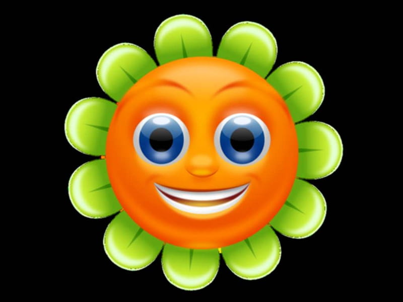 Smilie Faced Flower, Cute, Orange, Smilie, Funny, Flower, HD wallpaper