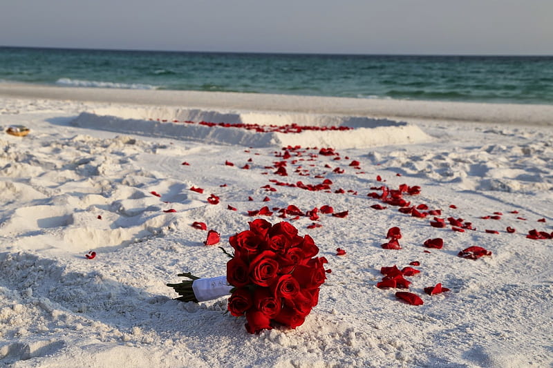 Love on The Beach, beach, sand, warmth, romance, love, summer, petals, roses, HD wallpaper