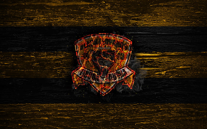 Black Leopards FC, fire logo, Premier Soccer League, yellow and black lines, South African football club, grunge, football, soccer, Black Leopards logo, wooden texture, South Africa, HD wallpaper