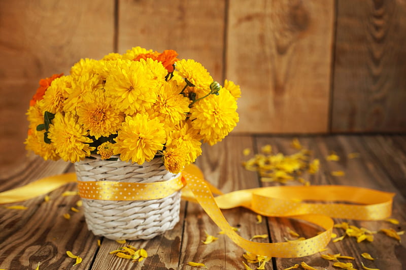 Beautiful Yellow Chrysanthemum's, table, wooden background, autumn, ribbon, yellow, still life, wicker basket, chrysanthemums, flowers, HD wallpaper