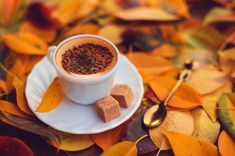 Premium Photo  A cup of coffee autumn foliage and a cozy sweater on a  beige background
