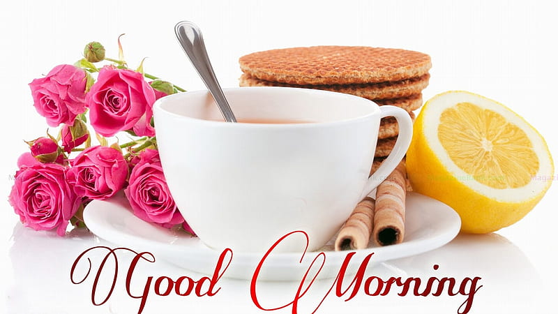 Good Morning, pretty, messages, food, roses, tea, lemon, cookies, people, cup, white, HD wallpaper