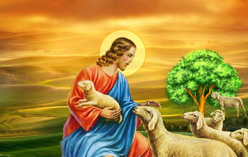 Jesus, good shepherd, christ, sheep, jesus, love, shepherd, HD wallpaper