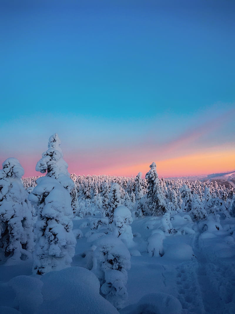 nature, winter, snow, HD phone wallpaper