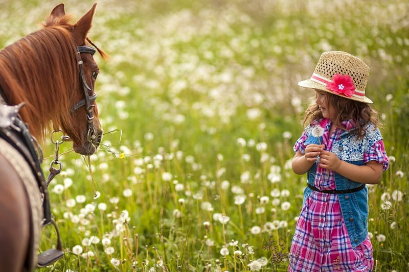 litte lafy, horse, horses, splendor, girl, green, flowers, nature, child, princess, field, HD wallpaper