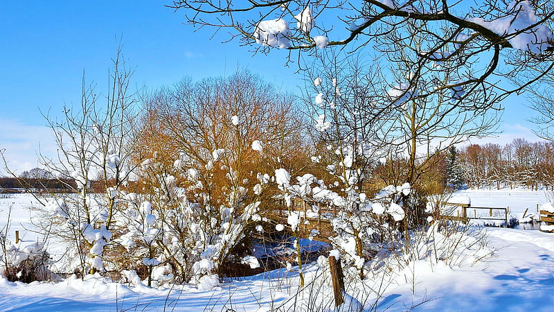 Winter in Northern Germany, sky, trees, snow, landscape, sunshine, HD wallpaper