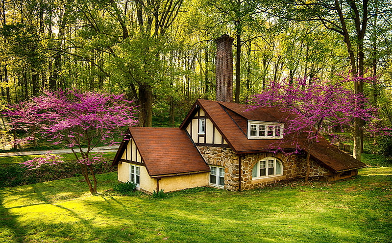 Beautiful Forest House, Spring Ultra, Seasons, Spring, Nature, Landscape, Scenery, Trees, House, Forest, Blossom, que, Cabrini College, HD wallpaper