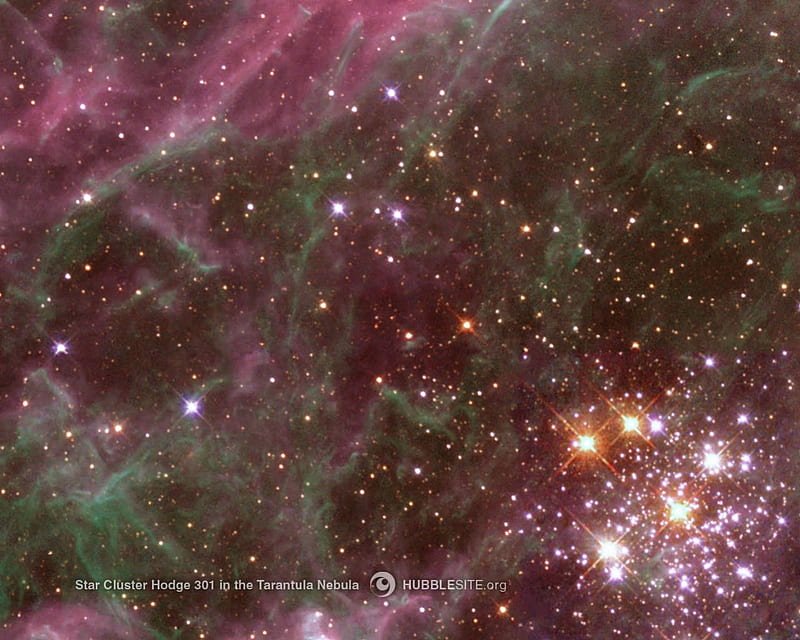 Tarantula Nebula, HD wallpaper