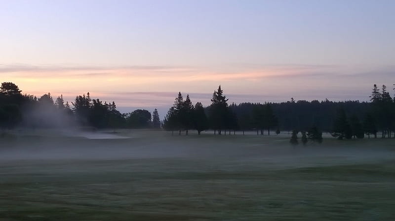 early morning, MDI, golf course, field, Maine, HD wallpaper