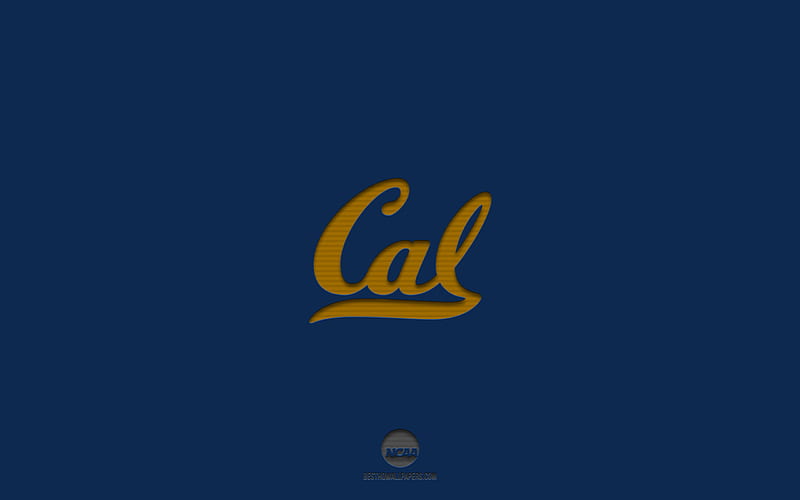 California Golden Bears, blue background, American football team, California Golden Bears emblem, NCAA, California, USA, American football, California Golden Bears logo, HD wallpaper