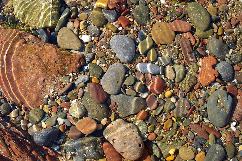 sea, summer, colorful pebbles, HD wallpaper