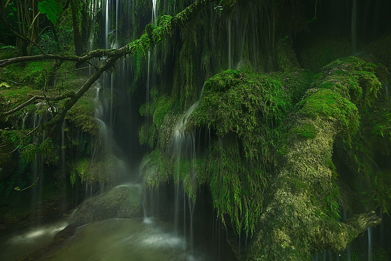 Green Mossy Jungle Falls, Waterfalls, Green, Jungles, Forests, Moss, Nature, HD wallpaper