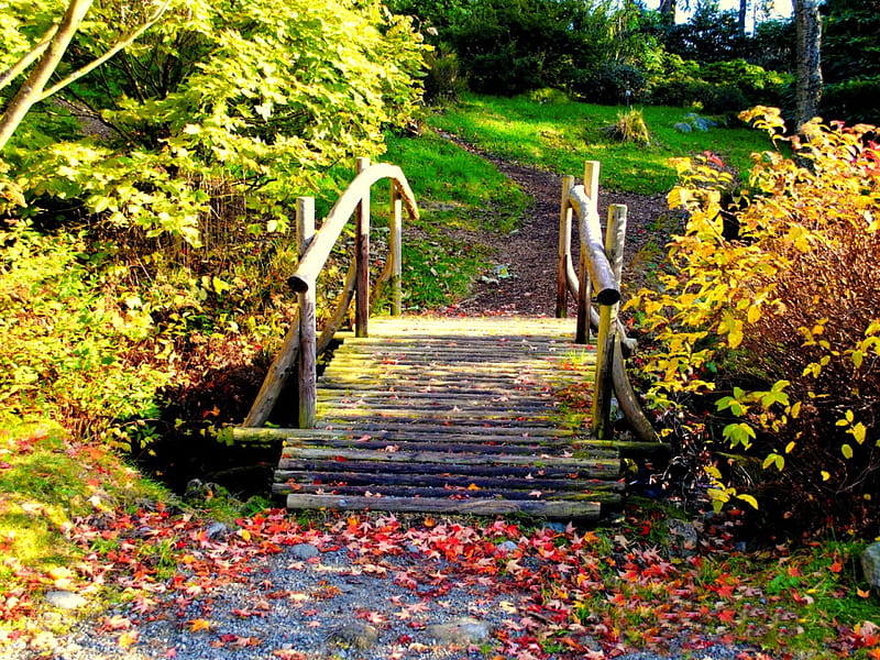 Bridge in autumn forest, fall, colorful, autumn, grass, falling, bonito,  foliage, HD wallpaper | Peakpx