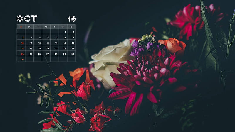 October Calendar 2021 Colorful Flowers Bouquet Black Background October, HD wallpaper