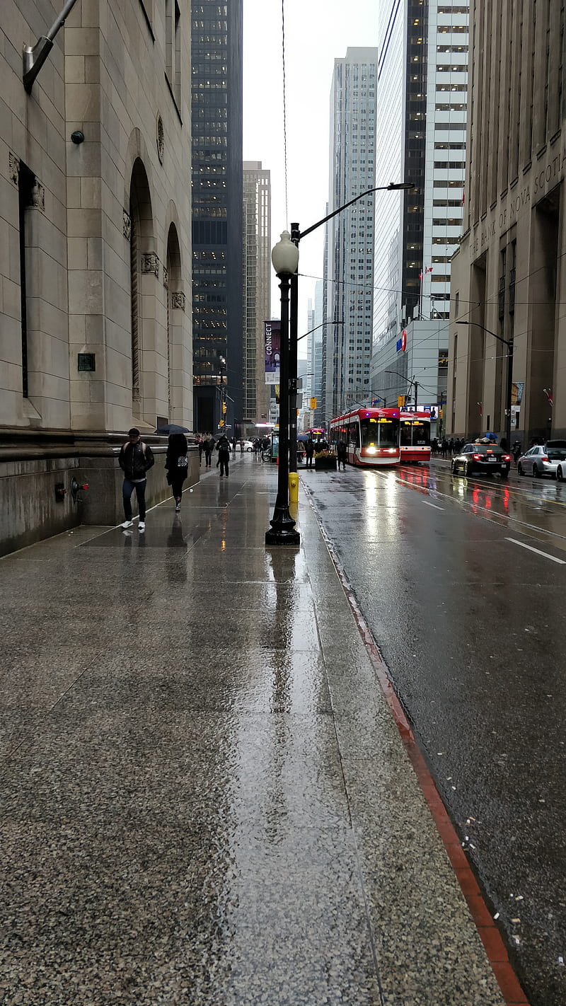 Toronto Streets, city, lights, new, rainy, road, street, weather, HD phone wallpaper