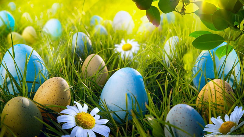 Easter egg hunt, colorful, holidays, grass, spring, painted egg, abstract, egg, Easter, phorography, flowers, nature, colours, celebrations, HD wallpaper