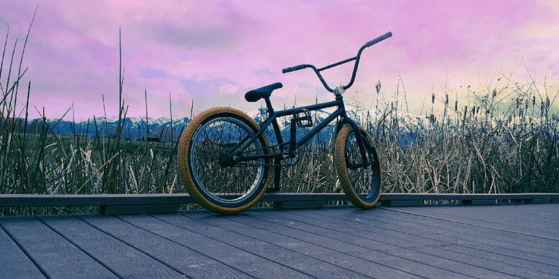 Bmx, bike, fit, summer time, HD wallpaper