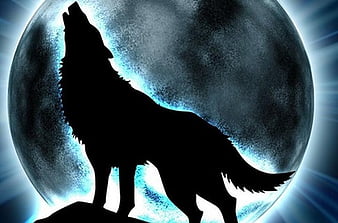 Page 5 | HD animals wolf forest wallpapers | Peakpx