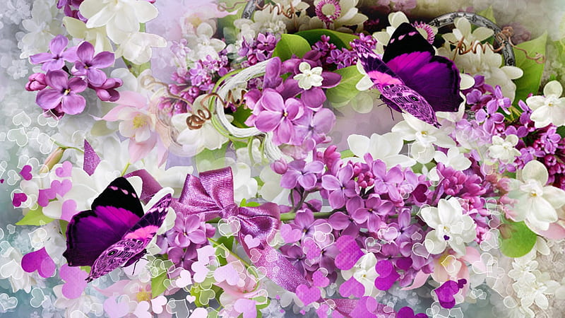 Rhapsody in Lavender, lilac, flowers, romantic, plumeria, butterflies, spring, lavender, corazones, lilacs, frangipani, butterfly, purple, bouquet, summer, papillon, flowers, HD wallpaper
