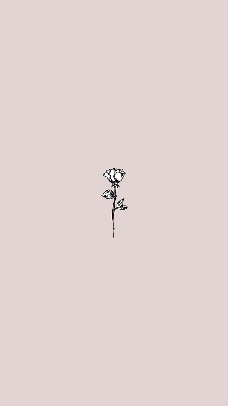 Flower, minimal, pink, HD phone wallpaper | Peakpx