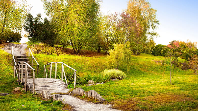 Wooden Bridge Between Green Grass Covered Slope Land During Daytime Nature, HD wallpaper