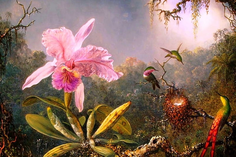 Paradise, blossom, orchid, painting, flower, birds, hummingbird, artwork, HD wallpaper