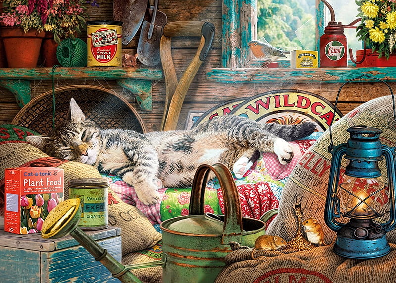 Snoozing in the Shed, window, bird, utensils, mice, flowers, garden, cat, artwork, painting, HD wallpaper