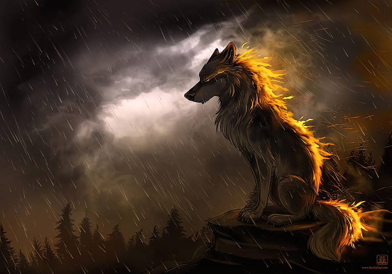 Wolf In Soothing Rain , wolf, animals, artist, artwork, digital-art, HD wallpaper