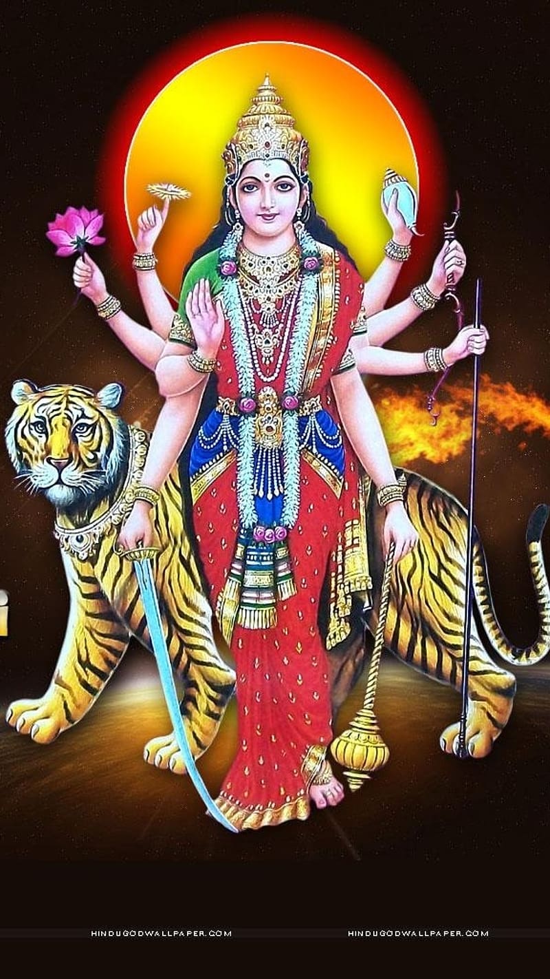 Mata Rani, Tiger Background, sun background, devi maa, goddess, HD phone wallpaper