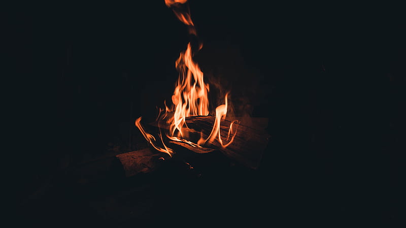 bonfire, fire, flame, firewood, night, darkness, dark, HD wallpaper