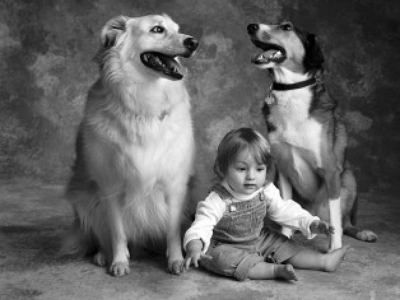 *** CHILD AND DOGS ***, ANIMALS, DOGS, A NIMAL, CHILD, HD wallpaper