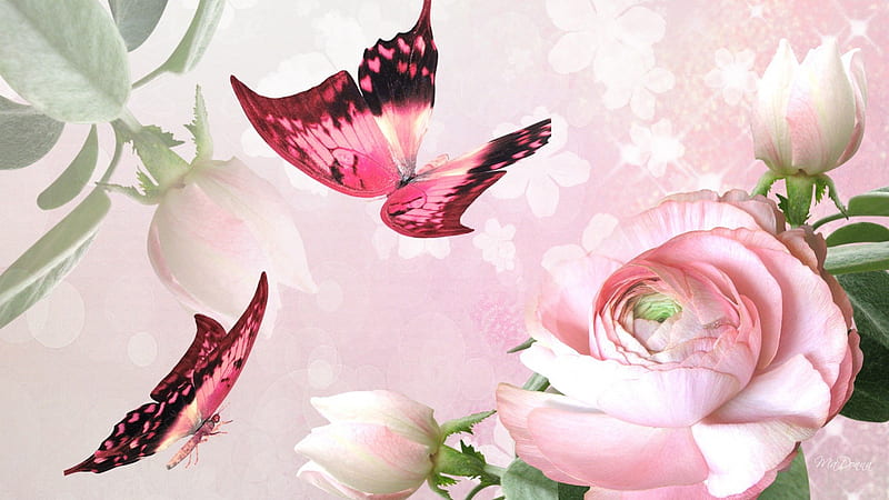 Peony Pink, flowers, soft, butterflies, spring, bud, peony, butterfly, summer, papillon, flowers, pink, HD wallpaper