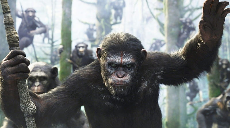 DAWN OF THE PLANET OF THE APES, APES, Caesar, ACTION, WAR, HD wallpaper