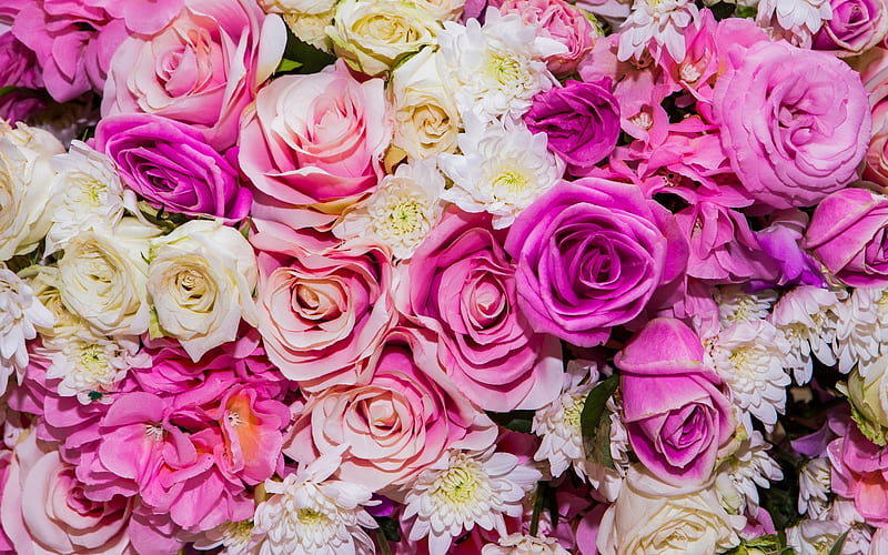 Flowers, rose, texture, flower, pink, white, skin, HD wallpaper | Peakpx