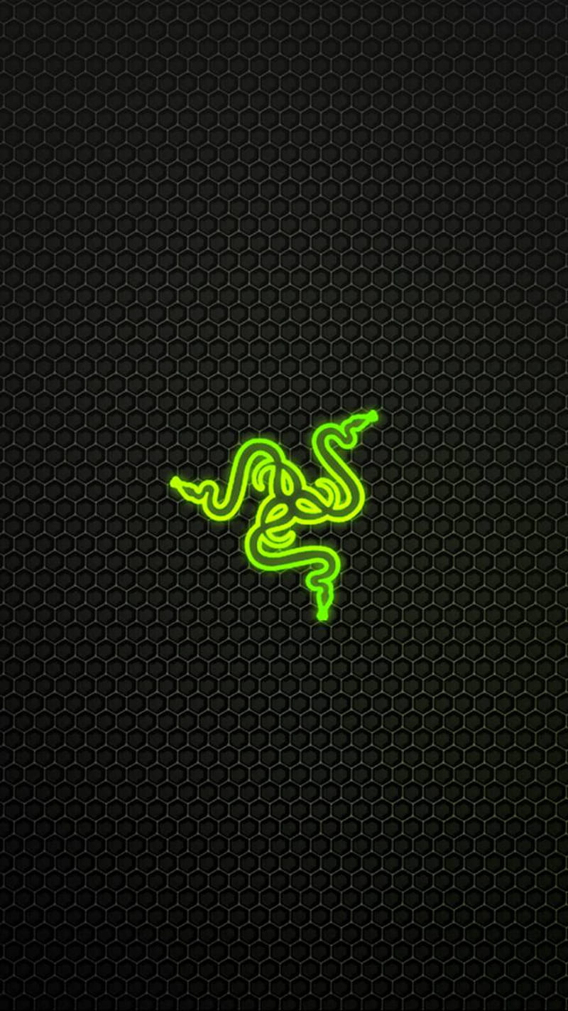 Razer, glow, snakes, HD phone wallpaper | Peakpx