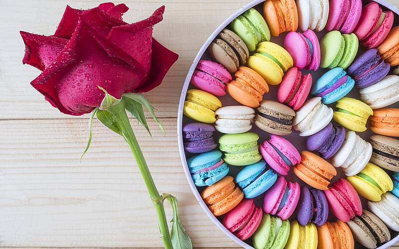 For you!, colorful, rose, food, box, rainbow, macaron, trandafir, sweet, dessert, flower, pink, HD wallpaper
