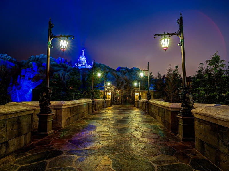 Disneyland Magic Kingdom, Magic Kingdom, night lights, United States, Disneyland, Florida, Orlando, castle, HD wallpaper