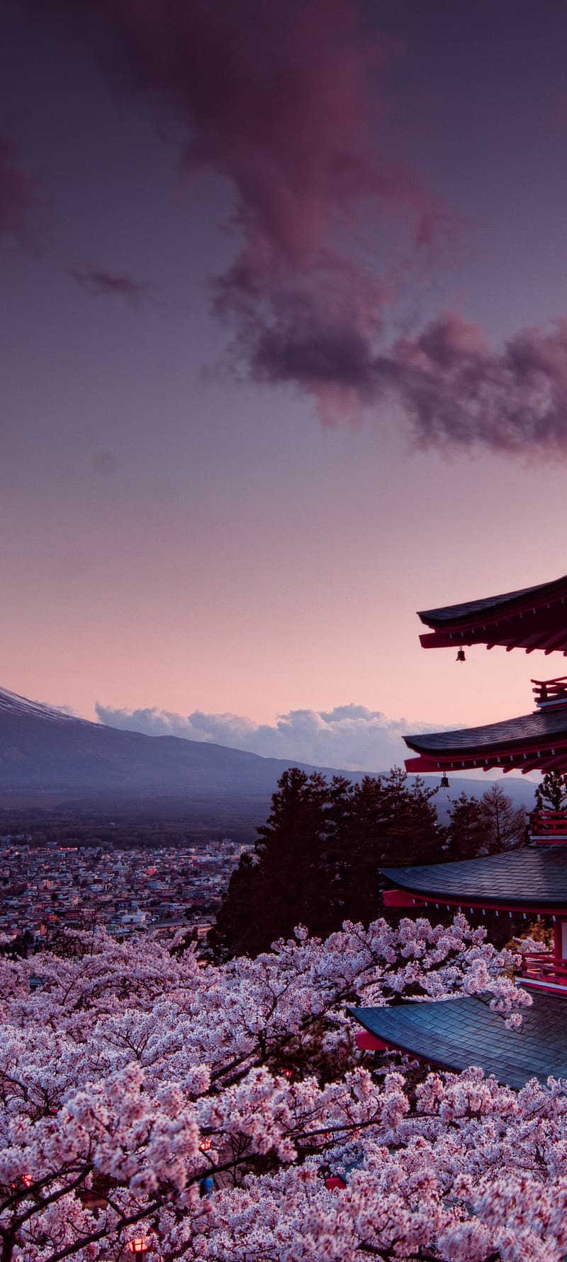 Mount fuji, Japan, Volcano, Cherry blossoms, Scenery in Resolution, 1080x2400 Japan, HD phone wallpaper