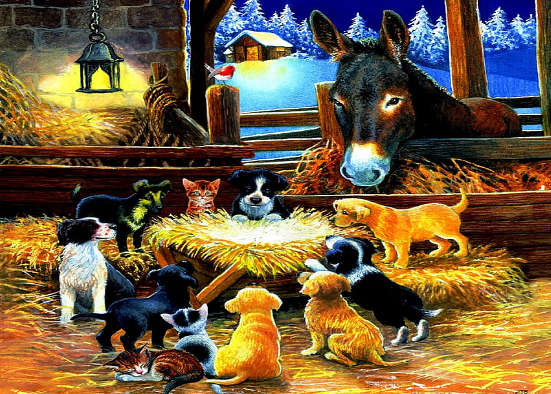 Barnyard Nativity, Mule, Nativity, Barnyard, Kittens, Baby Jesus, Puppies, HD wallpaper
