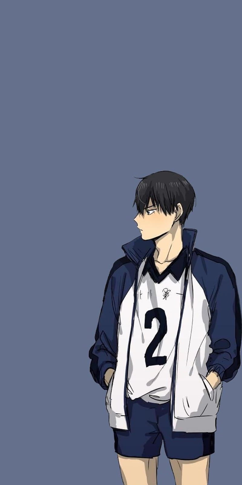 Haikyuu, Haikyuu!!, anime, simple background, anime boys, anime girls, ball