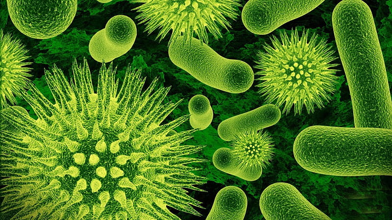 Germs or Bacteria, fantasy, entertainment, people, HD wallpaper