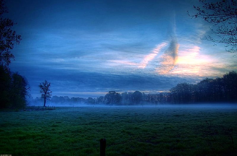 Silence, haze, green grass, evening, blue sky, trees, blue sky glimmer of light, mist, HD wallpaper