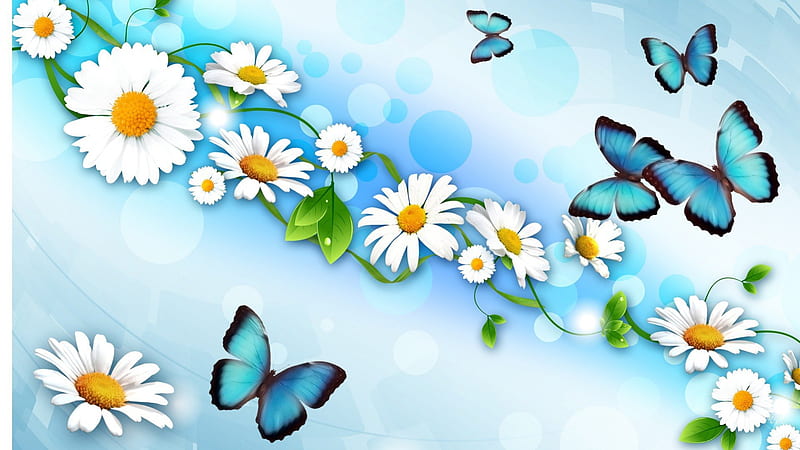Daisies and Butterflies, flowers, floral, bokeh, bright, papillon, flowers, butterfy, blue, streamer, fresh, dew, butterflies, spring, abstract, daisies, summer, new, petals, daisy, HD wallpaper