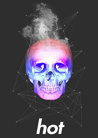 Download Skull With Rose Aesthetic Sketches Wallpaper  Wallpaperscom