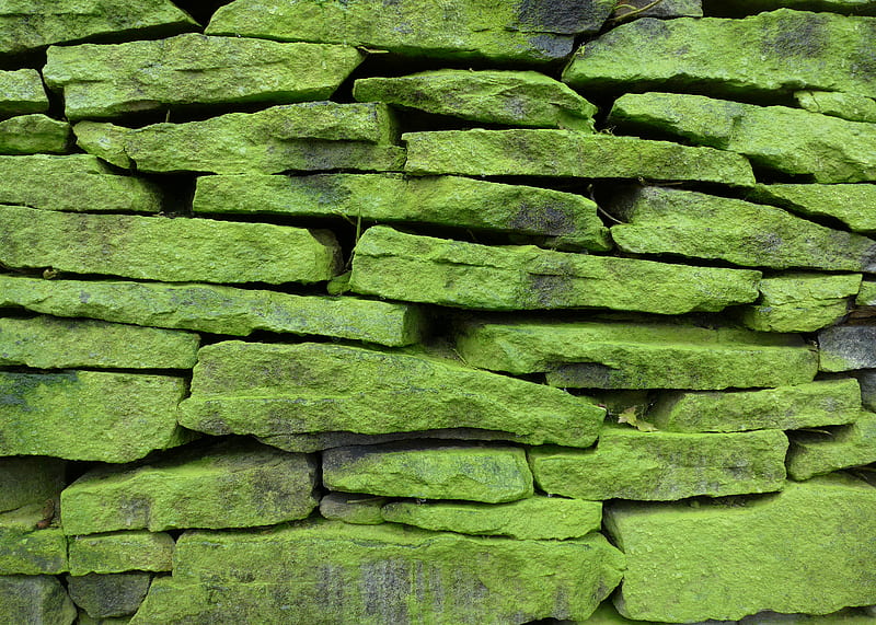 wall, stone, surface, texture, green, HD wallpaper