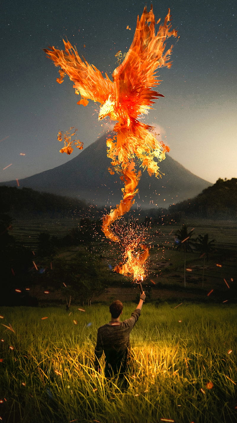 Fire Eagle, animal, bird, burn, fantasy, fireworks, flame, male, HD phone wallpaper