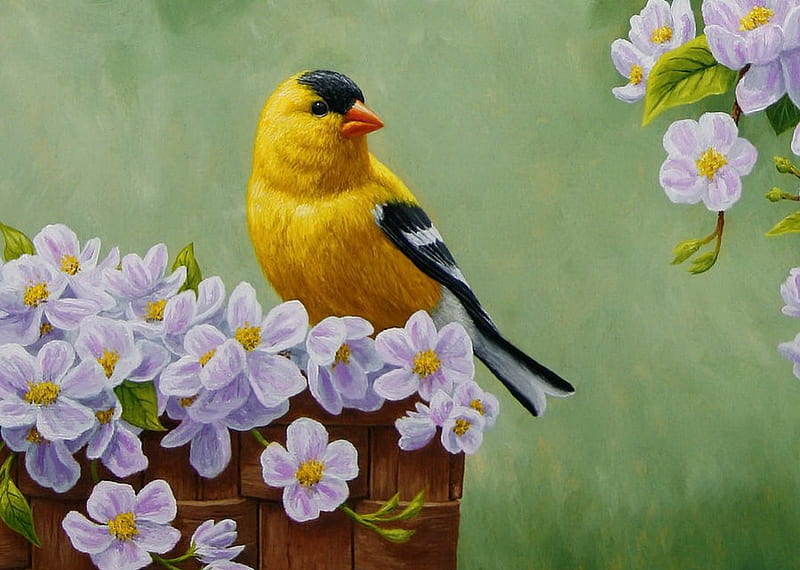 goldfinch bird painting