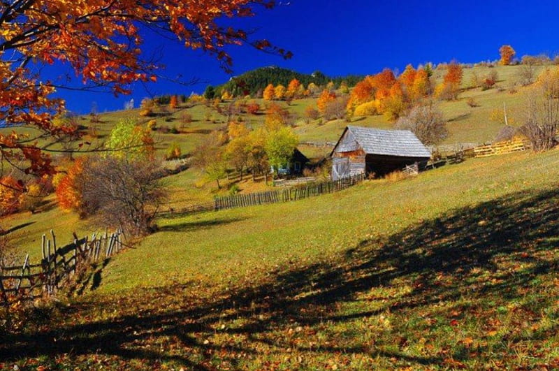 Autumn, toamna, munte, bicazului, cheile, HD wallpaper